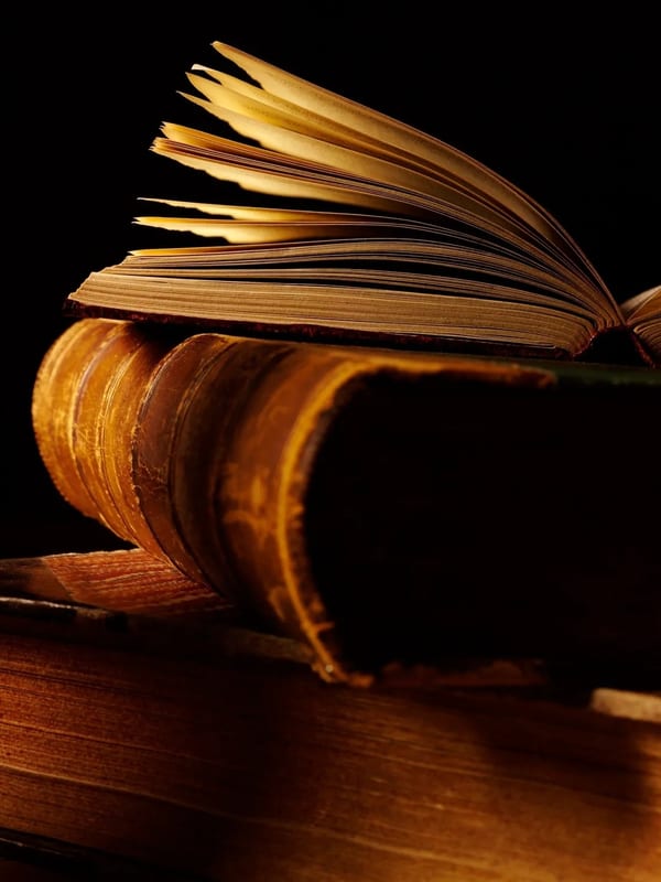 Researcher reviewing historical documents